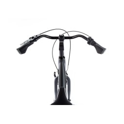 Linnajalgratas MARY 26