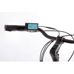 Kategooria elektrijalgrattad. Elektrijalgratas LATONA 26