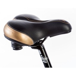 Linnaratas FERRARA GENT