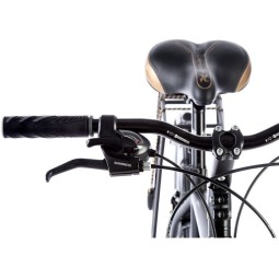 Linnaratas FERRARA GENT