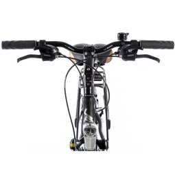 Linnaratas FERRARA GENT