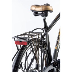 Linnaratas FERRARA GENT