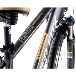 Linnaratas FERRARA GENT