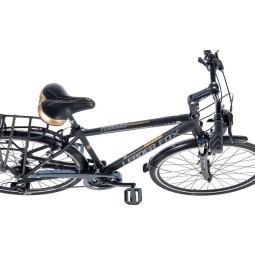 Linnaratas FERRARA GENT